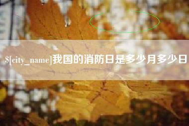 桓台我国的消防日是多少月多少日