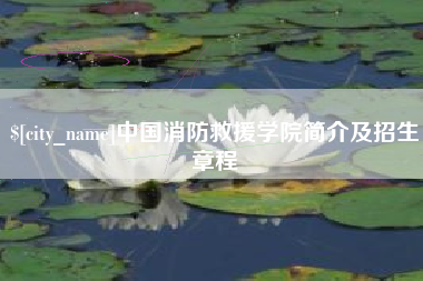 桓台中国消防救援学院简介及招生章程