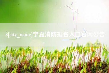 桓台宁夏消防报名入口官网公告