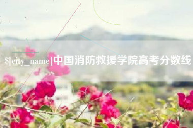 桓台中国消防救援学院高考分数线