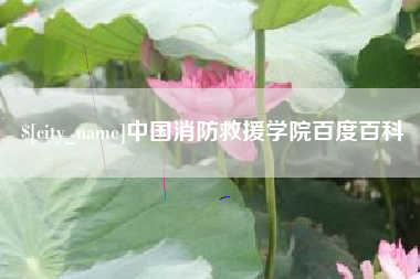 桓台中国消防救援学院百度百科