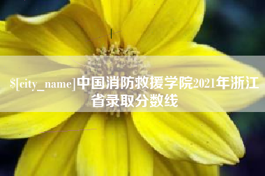 桓台中国消防救援学院2021年浙江省录取分数线