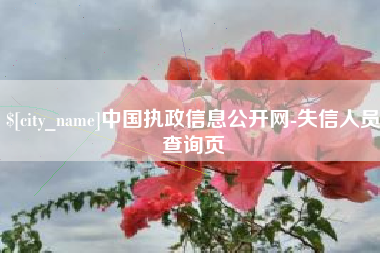 桓台中国执政信息公开网-失信人员查询页