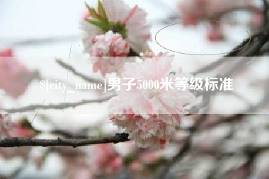 桓台男子5000米等级标准