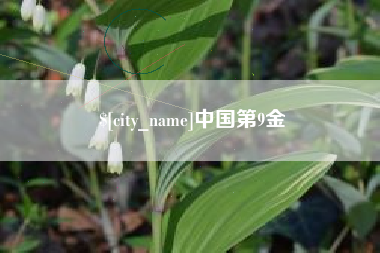 桓台中国第9金