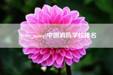 桓台中国消防学校排名