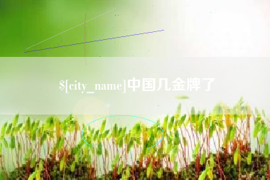 桓台中国几金牌了
