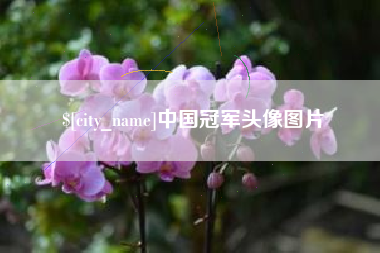 桓台中国冠军头像图片