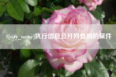 桓台执行信息公开网查到的案件