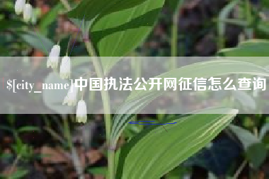 桓台中国执法公开网征信怎么查询