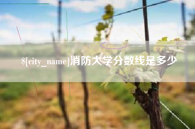 桓台消防大学分数线是多少