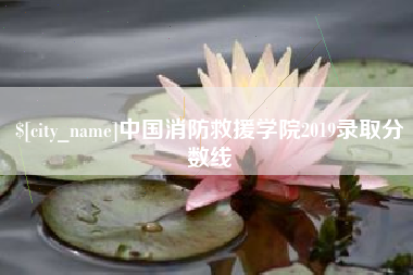 桓台中国消防救援学院2019录取分数线