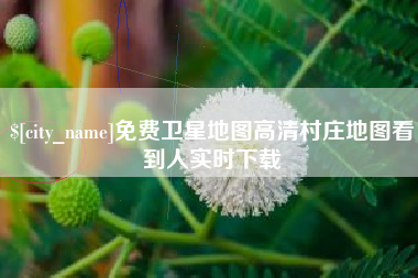 桓台免费卫星地图高清村庄地图看到人实时下载