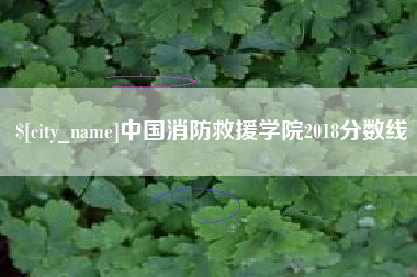 桓台中国消防救援学院2018分数线