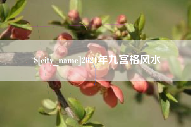 桓台2021年九宫格风水