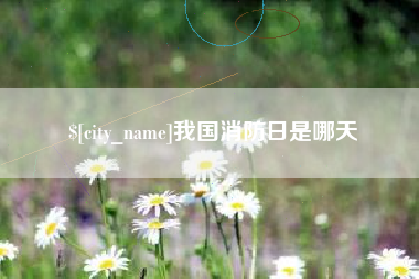 桓台我国消防日是哪天