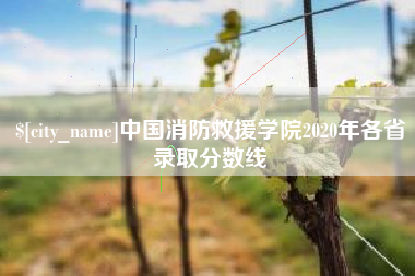 桓台中国消防救援学院2020年各省录取分数线