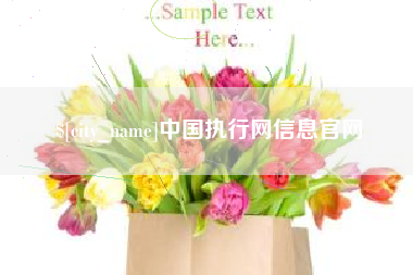 桓台中国执行网信息官网