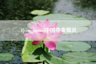 桓台中国夺金情况