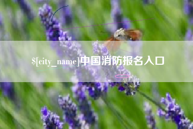 桓台中国消防报名入口