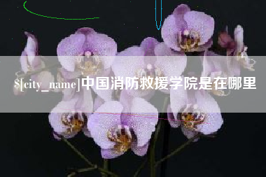 桓台中国消防救援学院是在哪里