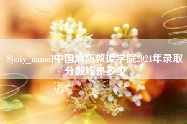 桓台中国消防救援学院2024年录取分数线是多少