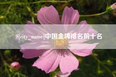 桓台中国金牌排名前十名