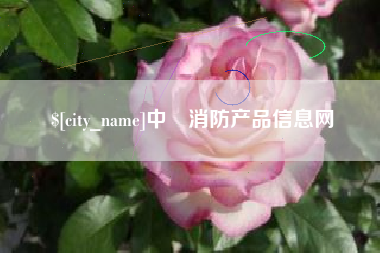 桓台中囯消防产品信息网
