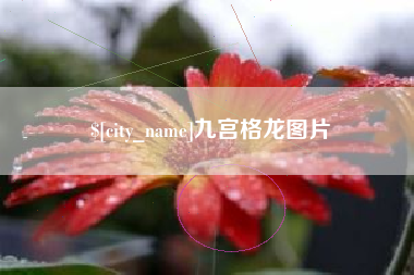 桓台九宫格龙图片