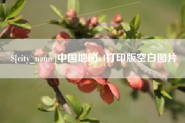 桓台中国地图a4打印版空白图片