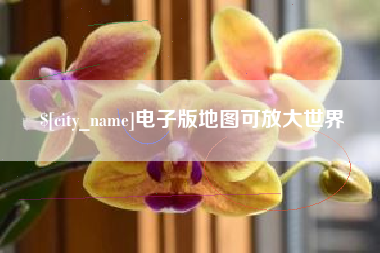 桓台电子版地图可放大世界