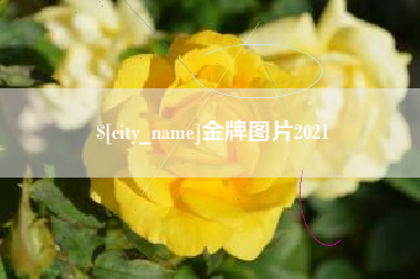 桓台金牌图片2021