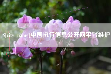 桓台中国执行信息公开网平台维护