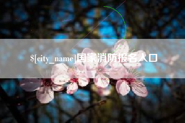 桓台国家消防报名入口