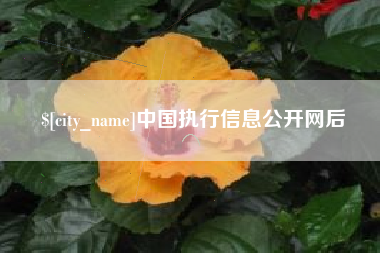 桓台中国执行信息公开网后