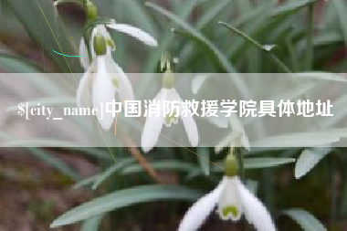 桓台中国消防救援学院具体地址