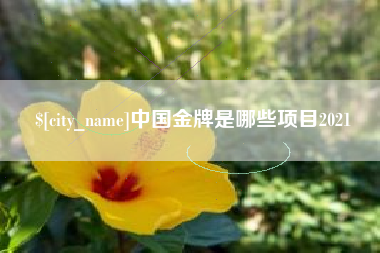 桓台中国金牌是哪些项目2021