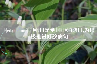 桓台11月9日是全国119消防日,为积极推进修改病句