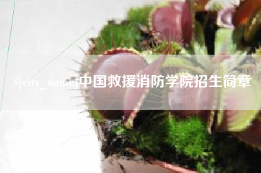 桓台中国救援消防学院招生简章