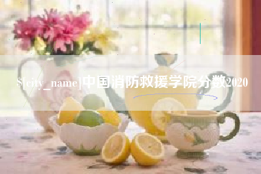 桓台中国消防救援学院分数2020
