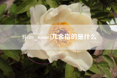 桓台九金指的是什么