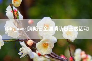 桓台消防日全国消防日主题活动
