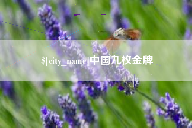 桓台中国九枚金牌