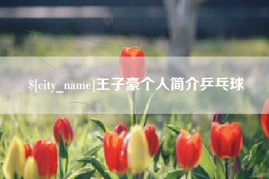 桓台王子豪个人简介乒乓球