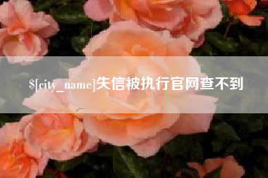 桓台失信被执行官网查不到