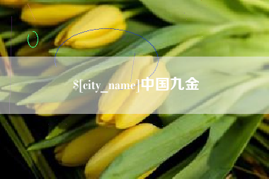 桓台中国九金