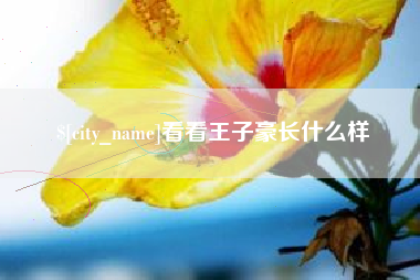 桓台看看王子豪长什么样