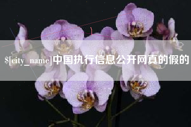桓台中国执行信息公开网真的假的