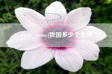 桓台我国多少个金牌