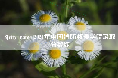 桓台2021年中国消防救援学院录取分数线